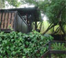 Turaco Cabins, Knysna