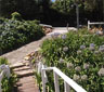 Agnar Cottage, Knysna