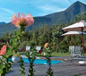 Tsitsikhaya Lodge, Storms River