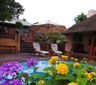 Belle Foret Guest House, Wilderness