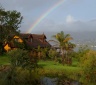 Fish Eagle Lodge, Knysna