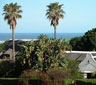 Palms Wilderness Retreat, Wilderness
