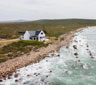 Periwinkle at Kanon, Vleesbaai