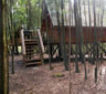 Plett Forest Cabins, Harkerville
