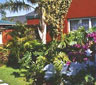 The Red House, George, George
