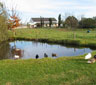Sleeping Beauty Guest House, Riversdale