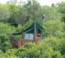 Teniqua Treetops, Sedgefield