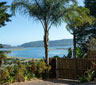 The Big Tree House Lodge, Knysna