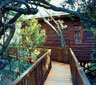 Tree Frog Forest Cabin, The Crags