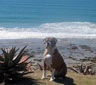 Vleesbaai Holidays, Vleesbaai