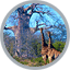 Limpopo Accommodation Venues